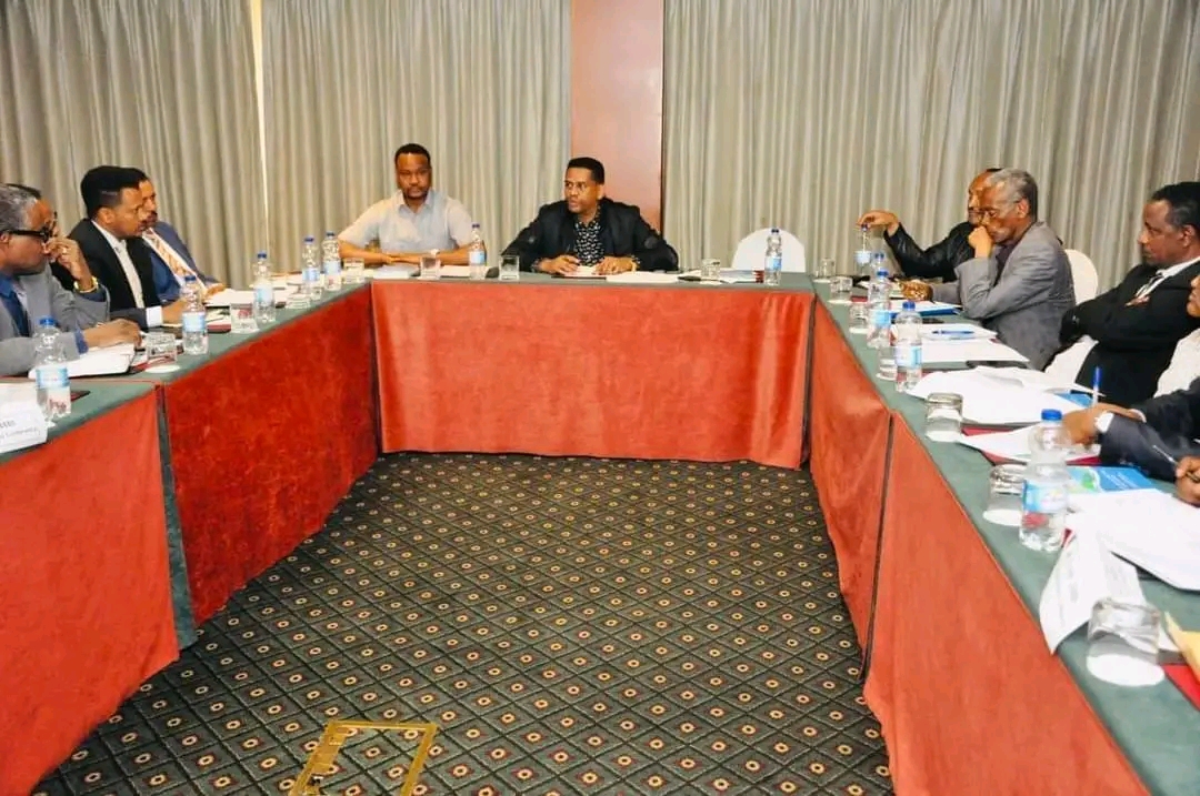 National implimentation committe estblishment